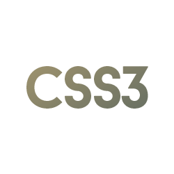 CSS